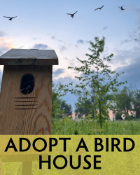 poster for Adopt a Birdhouse 2023