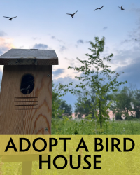 poster for Adopt a Birdhouse