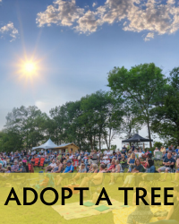 poster for Adopt a Tree